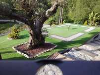 Manutenção de jardins e outros