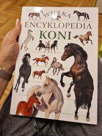 Wielka encyklopedia koni - 1 szt