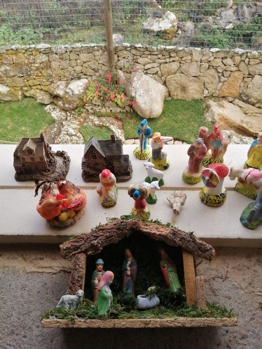 Vendo Pinheiro de Natal