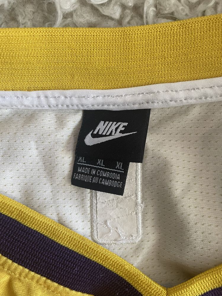 Koszulka koszykarska Nike NBA Los Angeles Lakers James