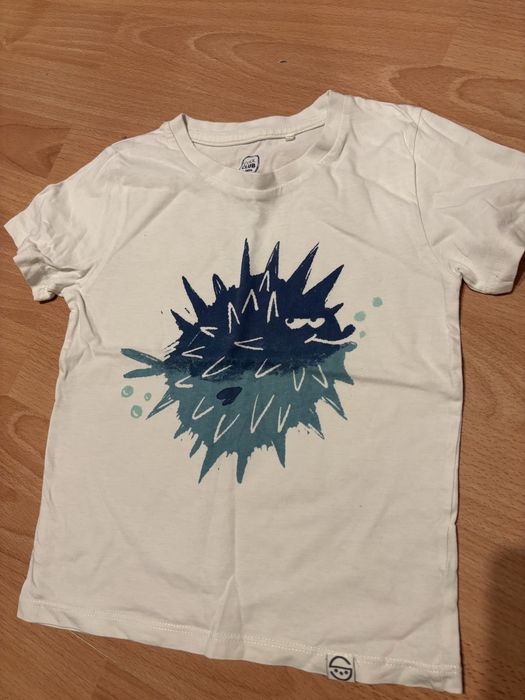 Ubranka w rozmiarze 104/110/116