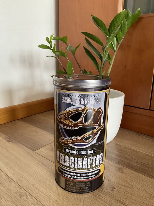 Esqueleto de Velociráptor