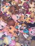 Zestaw littlest pet shop