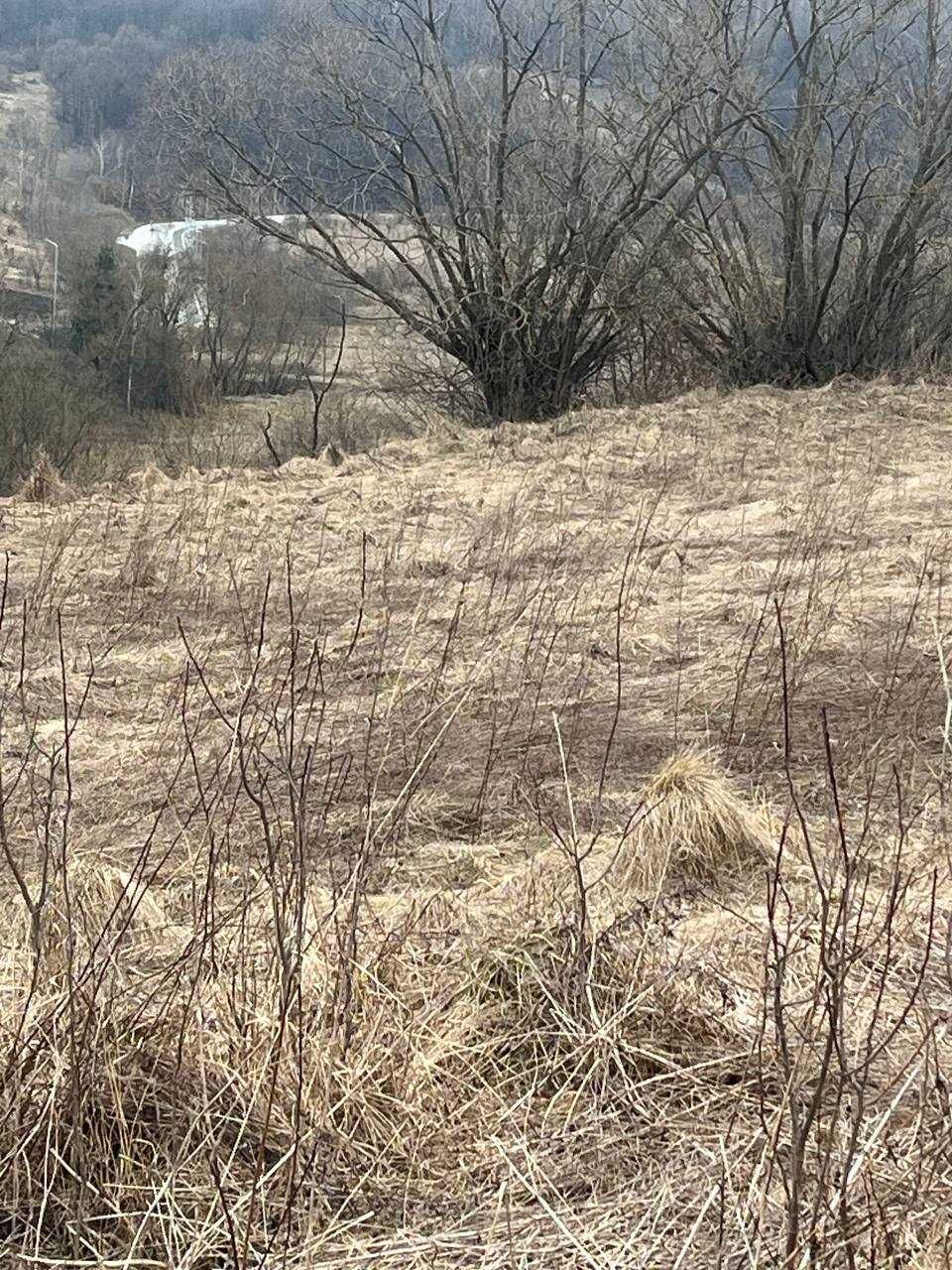 Земельна ділянка