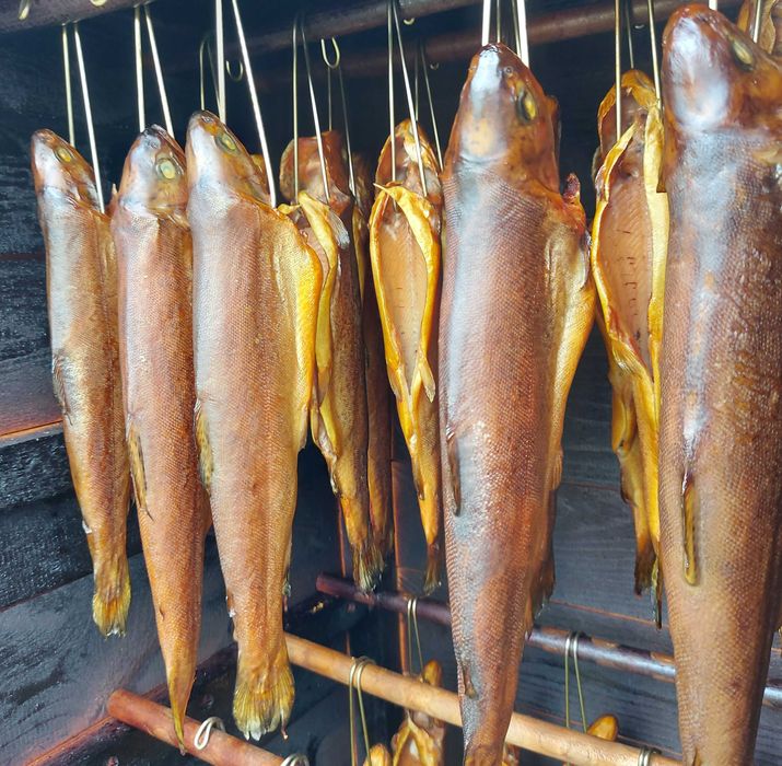 Ryby wędzone – smak i tradycja - pstrąg łosoś jesiotr