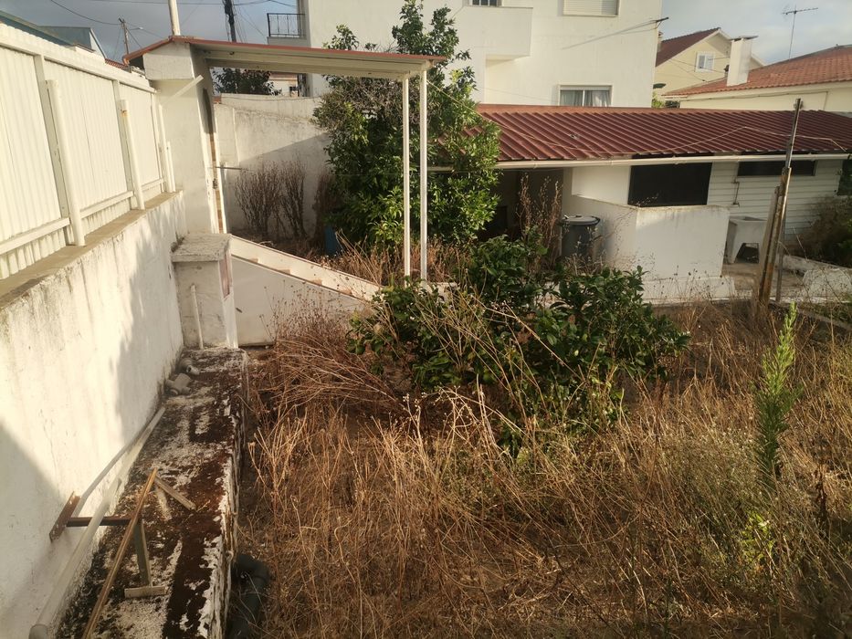 Limpeza de terrenos e jardim