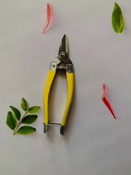 Садові ножиці/ножиці для кімнатних рослин