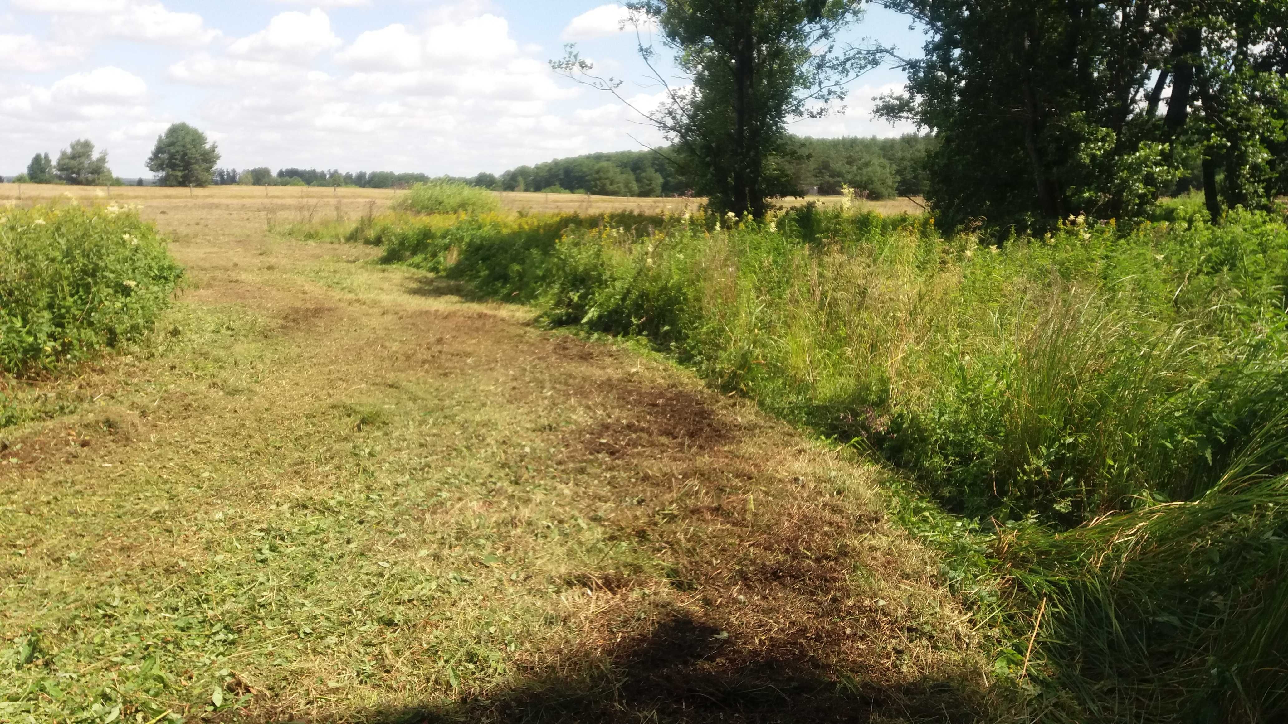 Koszenie łąk, mulczowanie koszenie traw nieużytków działek pod budowę