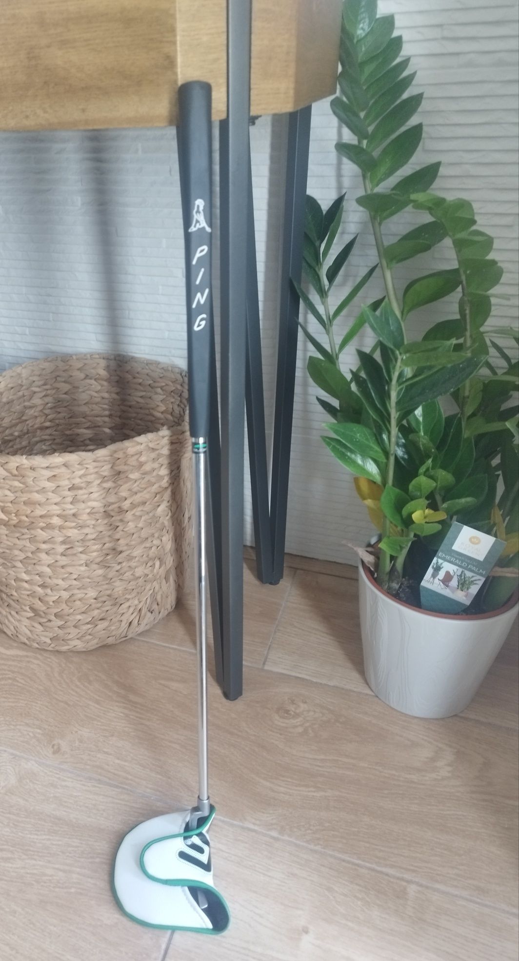 Putter Ping Pródi g Junior