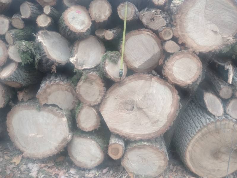 Drewno opałowe od 170zl za 1mp