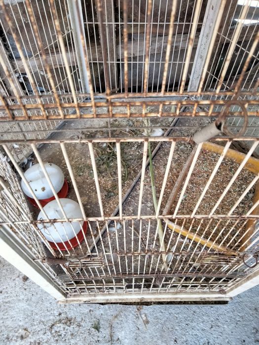 Viveiro para aves com rodas