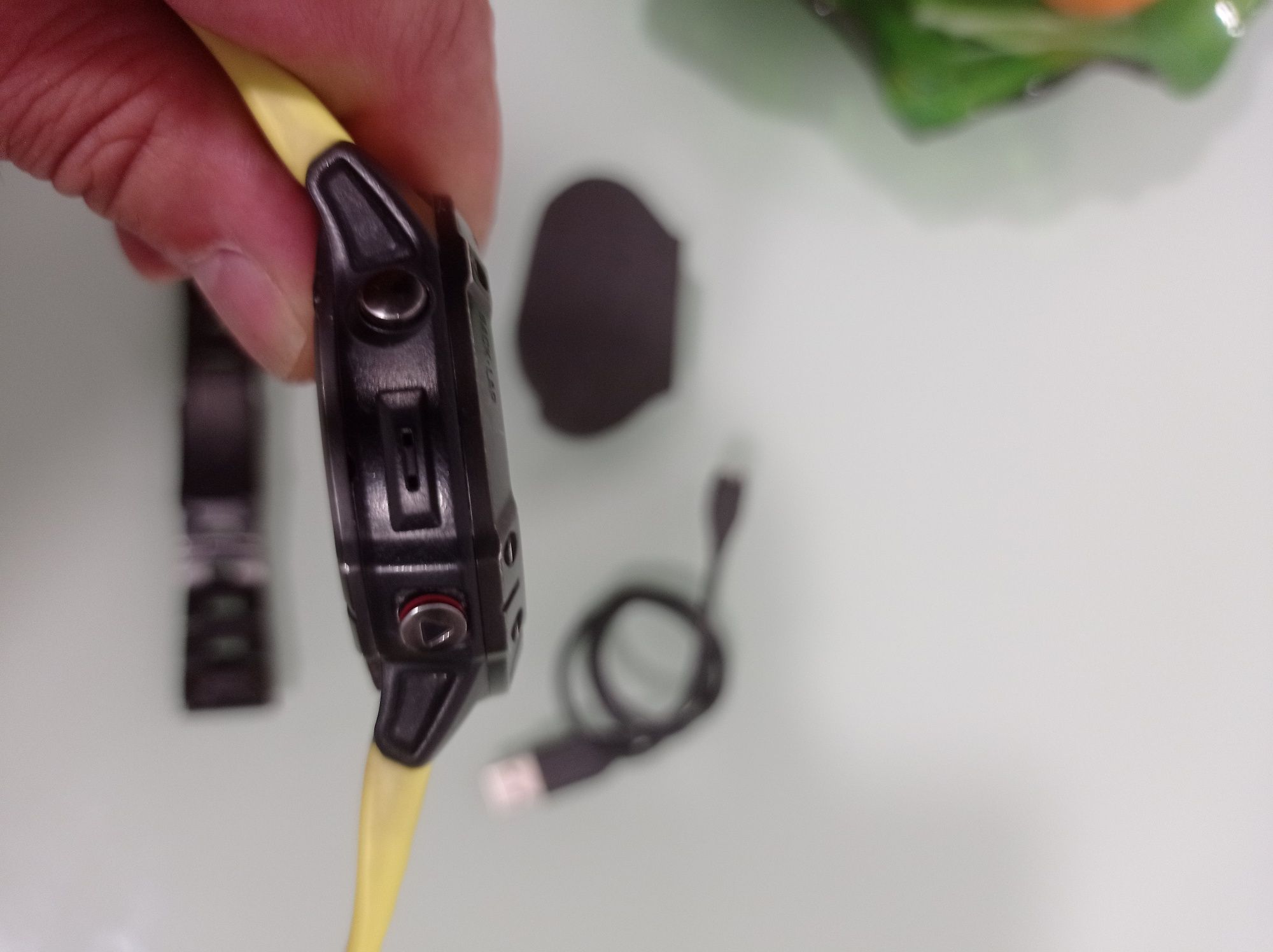 Garmin Fênix 6X Pró
