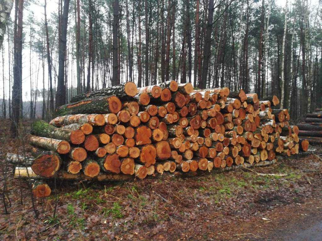 Sprzedam Drewno OLCHA, BRZOZA S2B 2,5mb