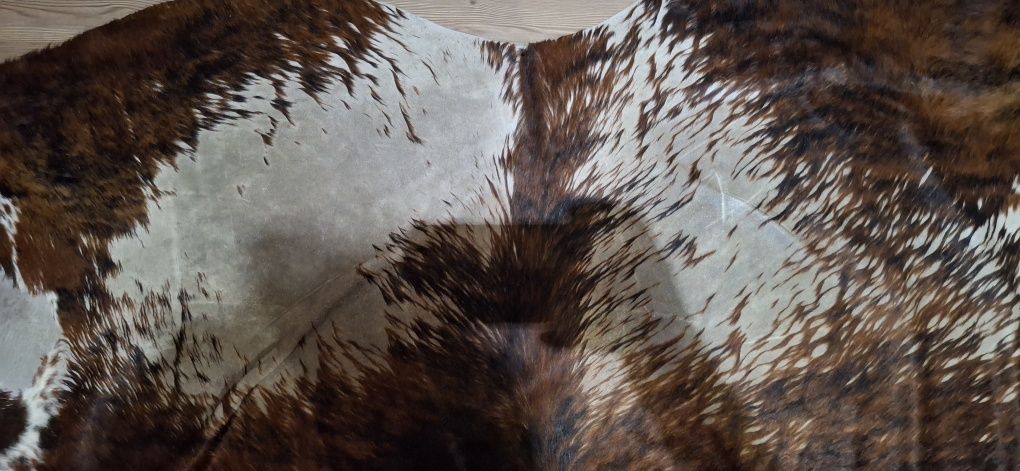 Pele animal - com falhas no pelo