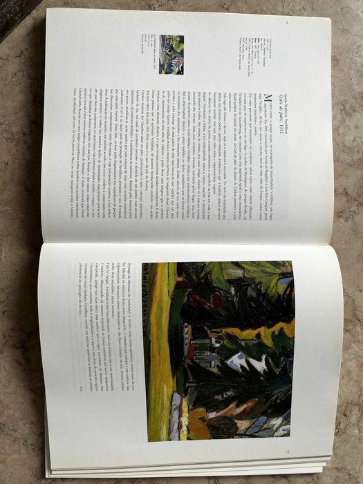 Livro cores e pintores na Provença