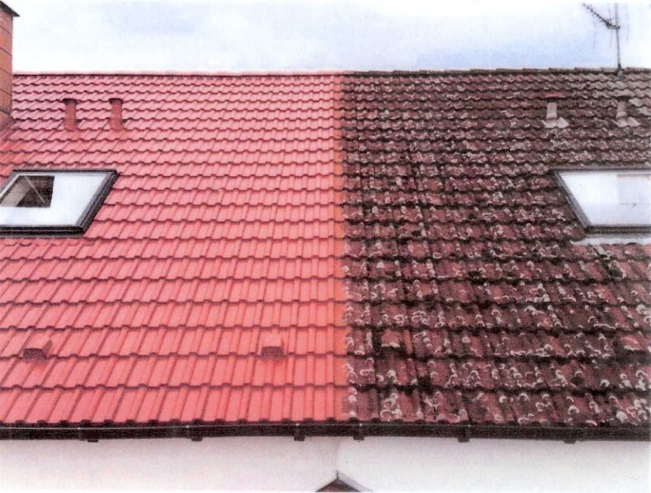 Painting | Roof Cleaning | House Beautification