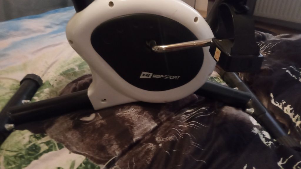 Rowerek stacjonarny