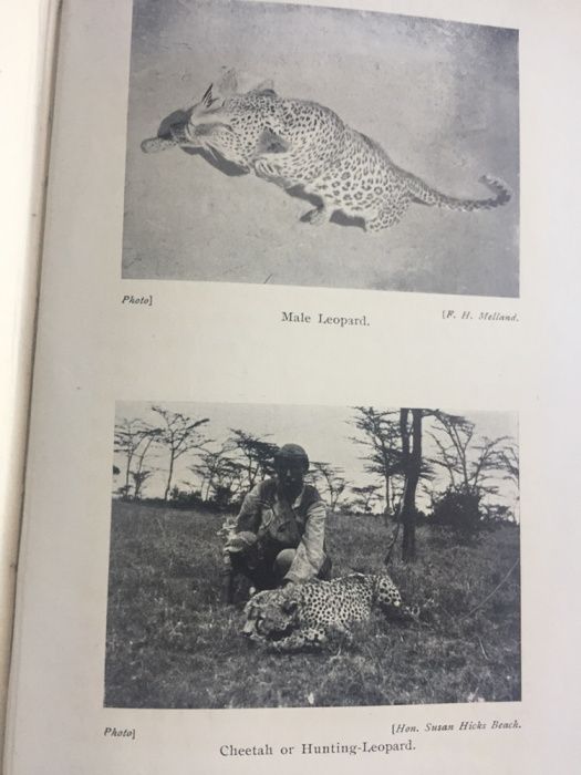 RARO Big Game Hunting in Central Africa.1aEd.1912.J.Dunbar-Brunton