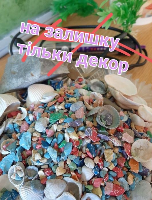 Акваріум  і аксесуари