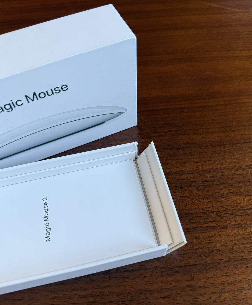 Apple Magic Mouse Dwa
