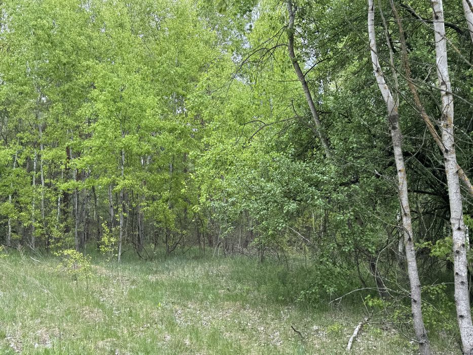 Земельна ділянка 1 га поруч з великим лісом!!!с.Здвижівка.