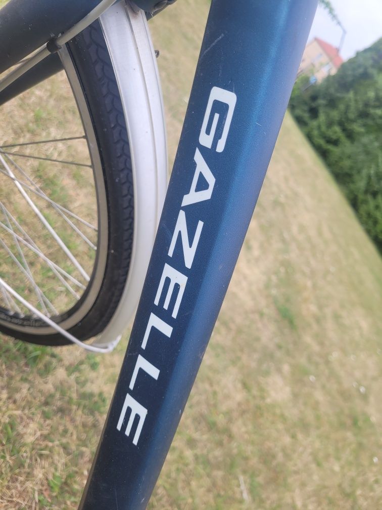 Rower męski Gazelle model Chamonix