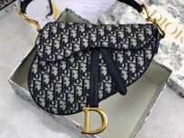 Torebka DIOR saddle bag monogram