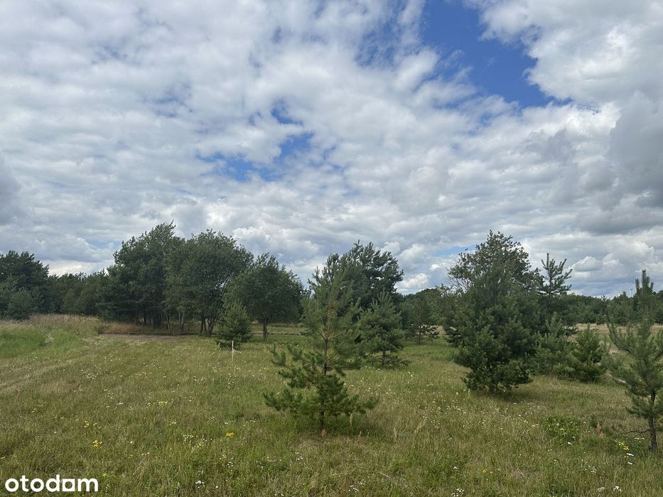 Sprzedam działkę rekreacyjną 871 m² nad jeziorem Dołgie
