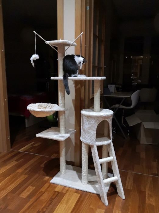 Drapak dla kota NOWY 5 poziomów wysoki 138cm