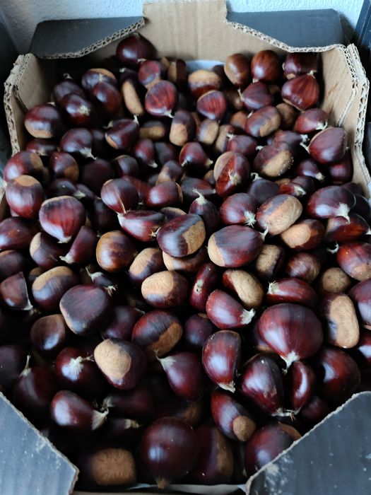 Castanhas saborosas