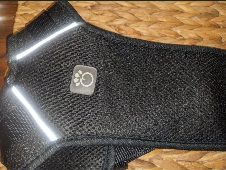 Szelki dla psa AniOne