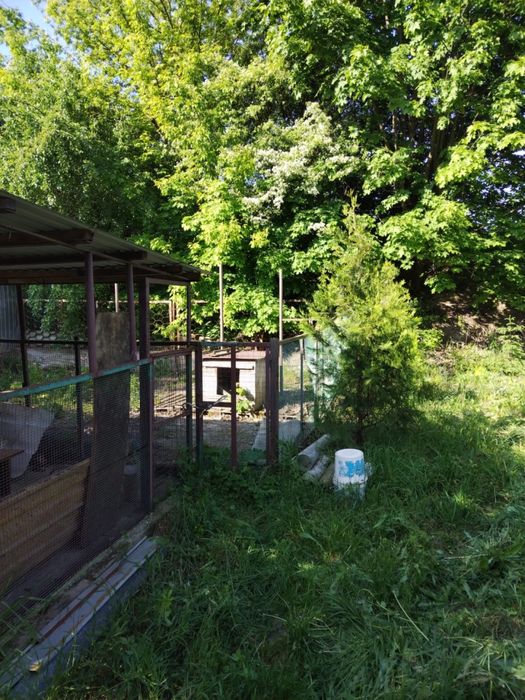 Продам дачний будинок на Бучмах.