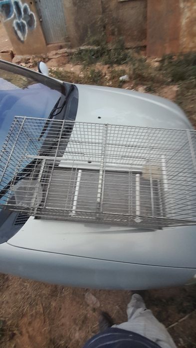 Gaiola para pássaros