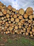 Sprzedam drewno paletowe 250  sw
