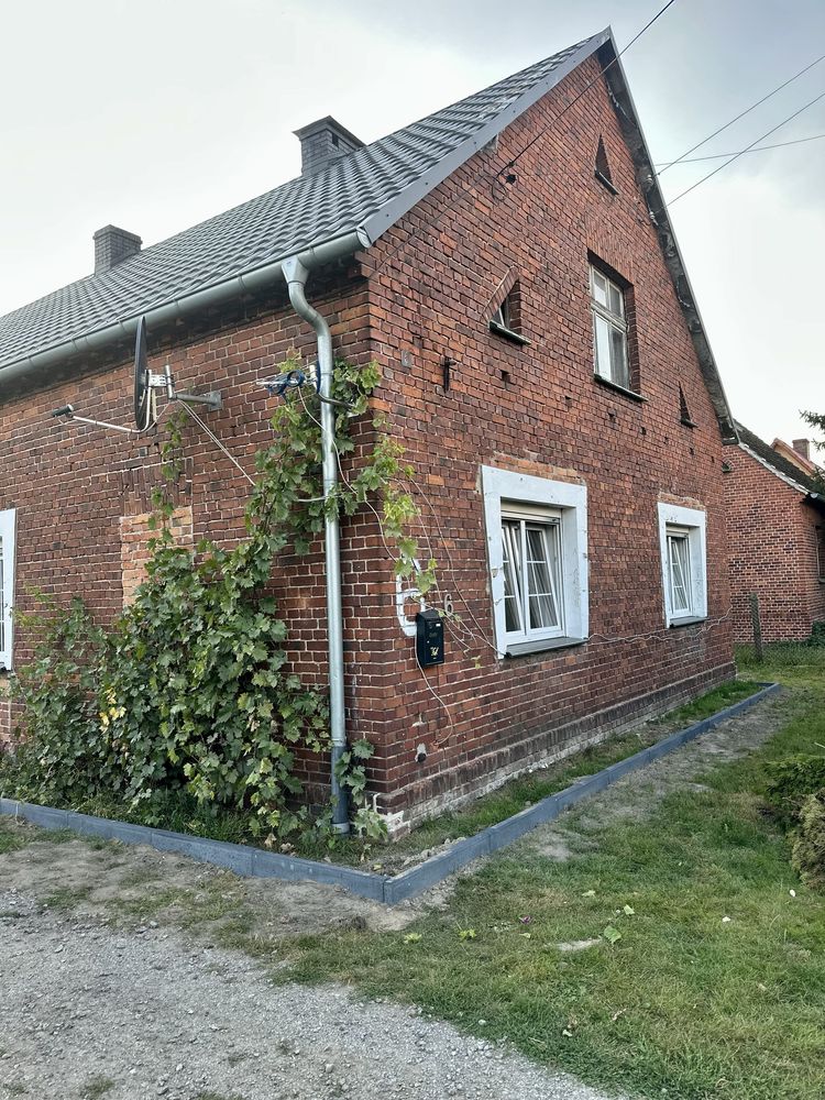 Od 10 wrzesnia Wynajme dom z ogrodem na wsi  z ogrodem 95 m2