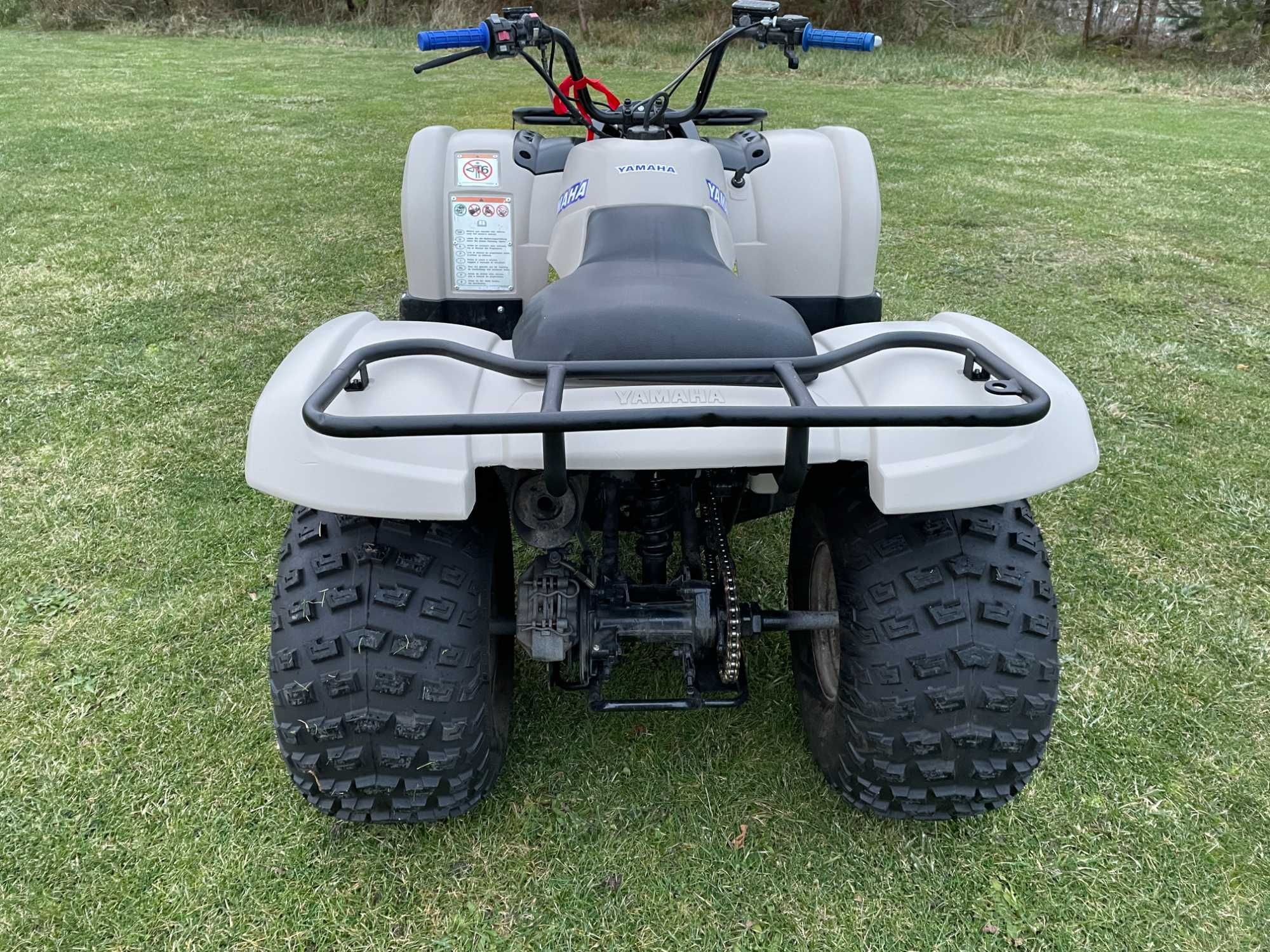 quad Yamaha grizzly