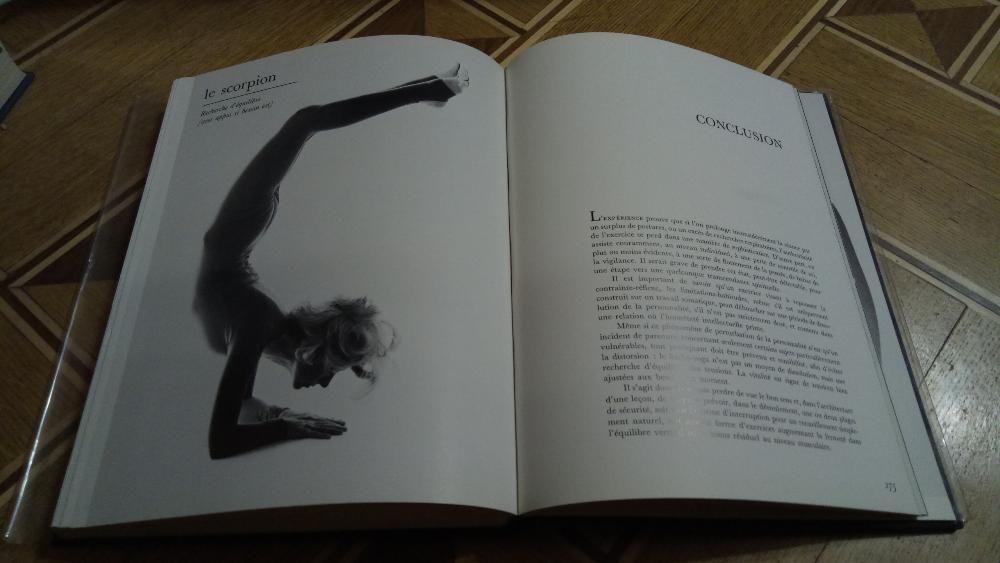 hatha-yoga (Eva Ruchpaul)