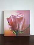 Pintura rosa em tela