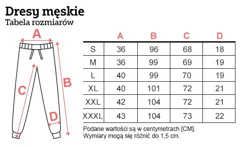 Dres męski The North Face XXL