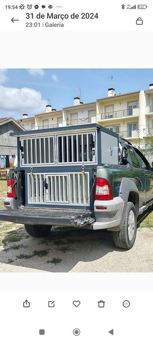 Transportadora para cães