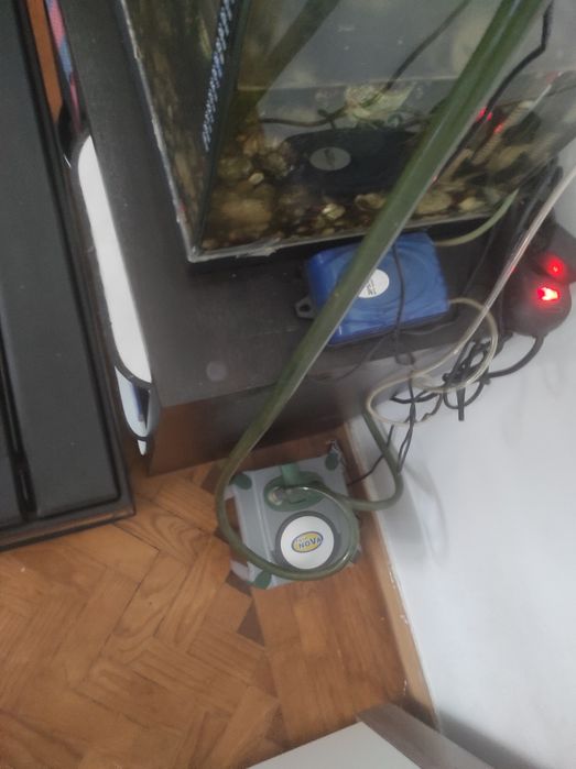 Aquários - móvel - acessórios