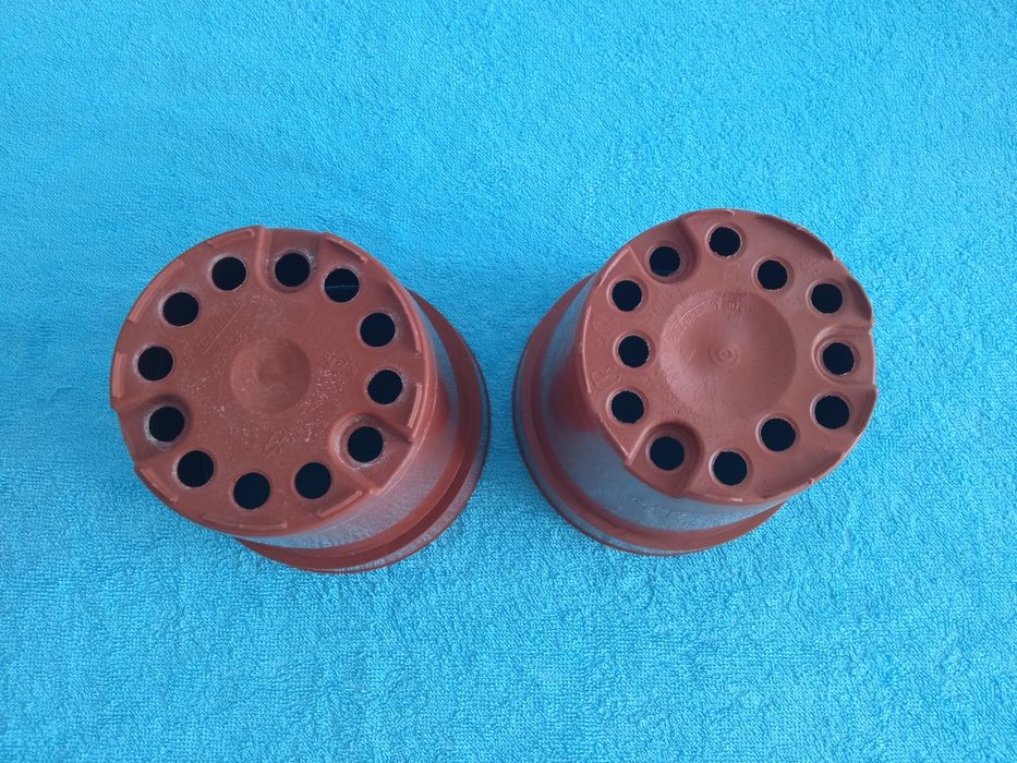 3 vasos para plantas de porte pequeno