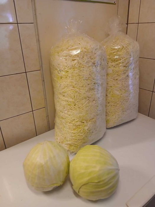Kapusta szatkowana i w główkach