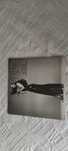 Vinil Cher Dark Lady