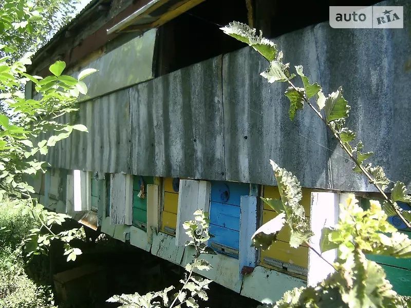 Бджолопавільон вулики обмін