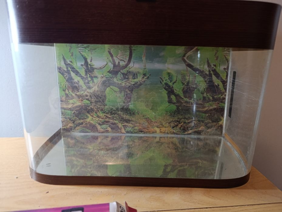 Продаю аквариум ВОЗМОЖЕН ТОРГ 36 литров
