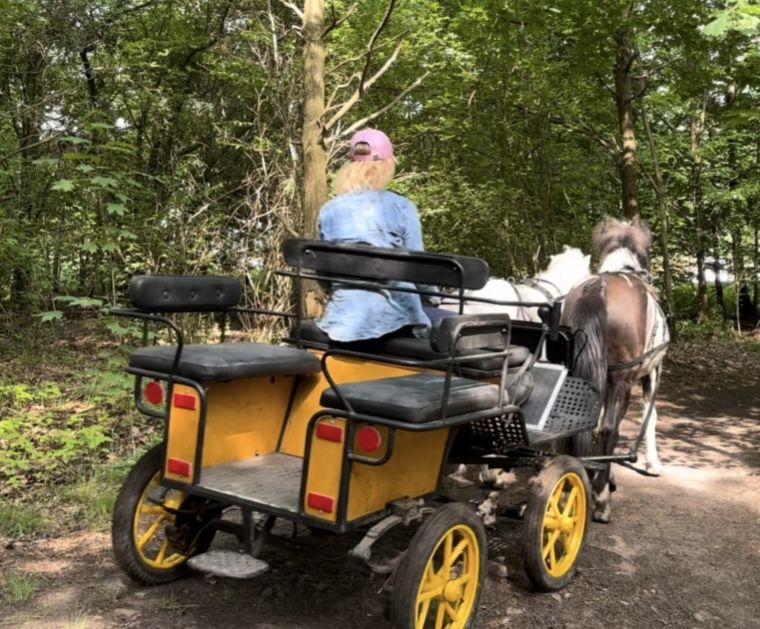 Bryczka wagonetka dwa dyszlena mniejsze konie kuce pony  hucul konik p