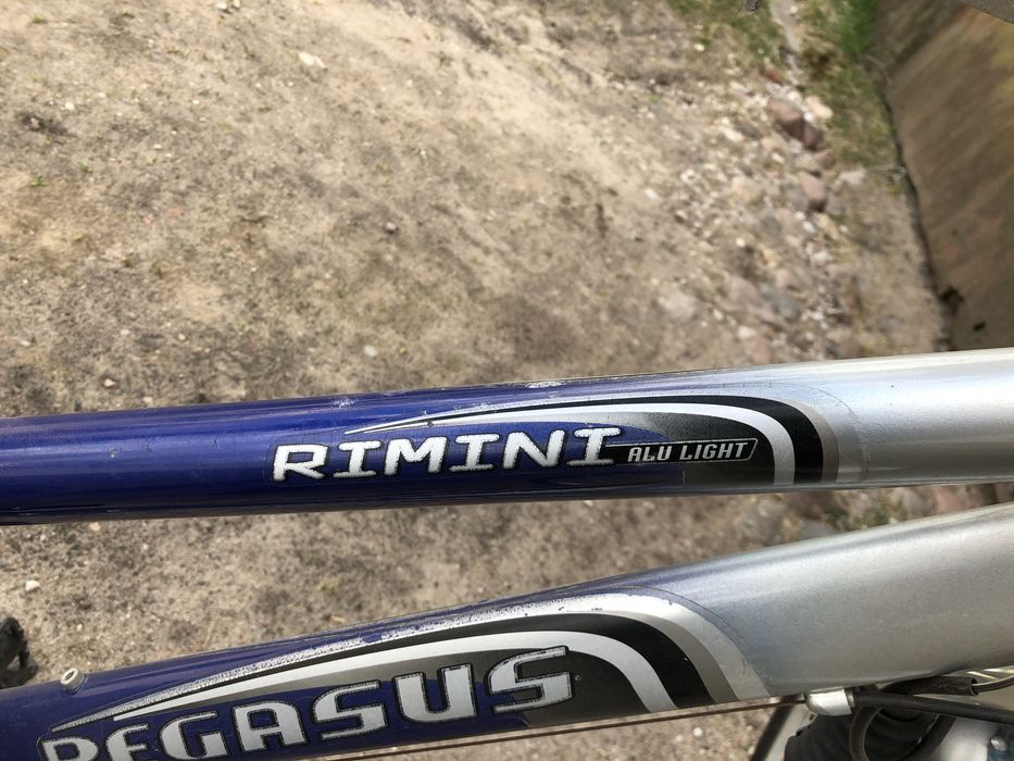 Rower Pegasus Rimini koła 28”
