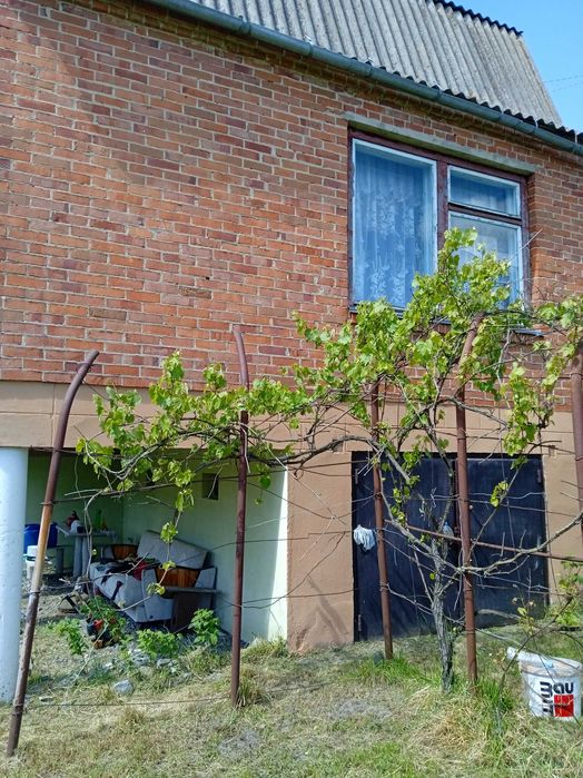 продам дачний будинок