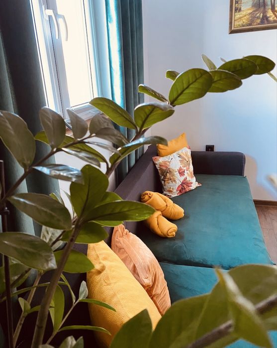 Wolne 7-11.11 Całoroczny na odludziu, jeden na posesji, sauna, balia